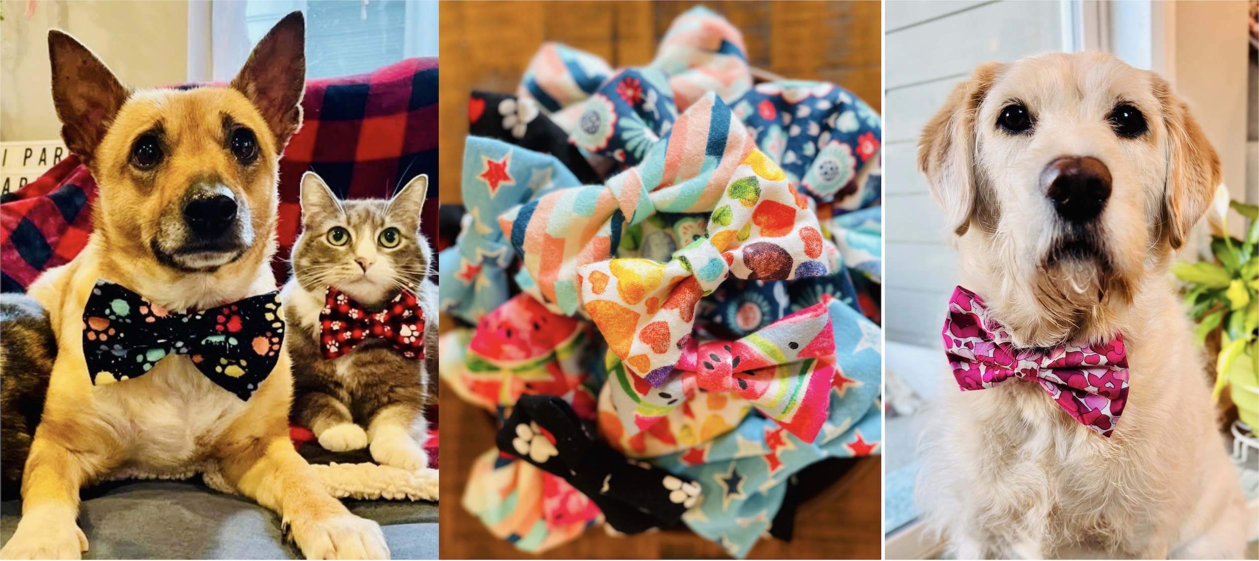 Bow-Bow-Ties Hero Banner